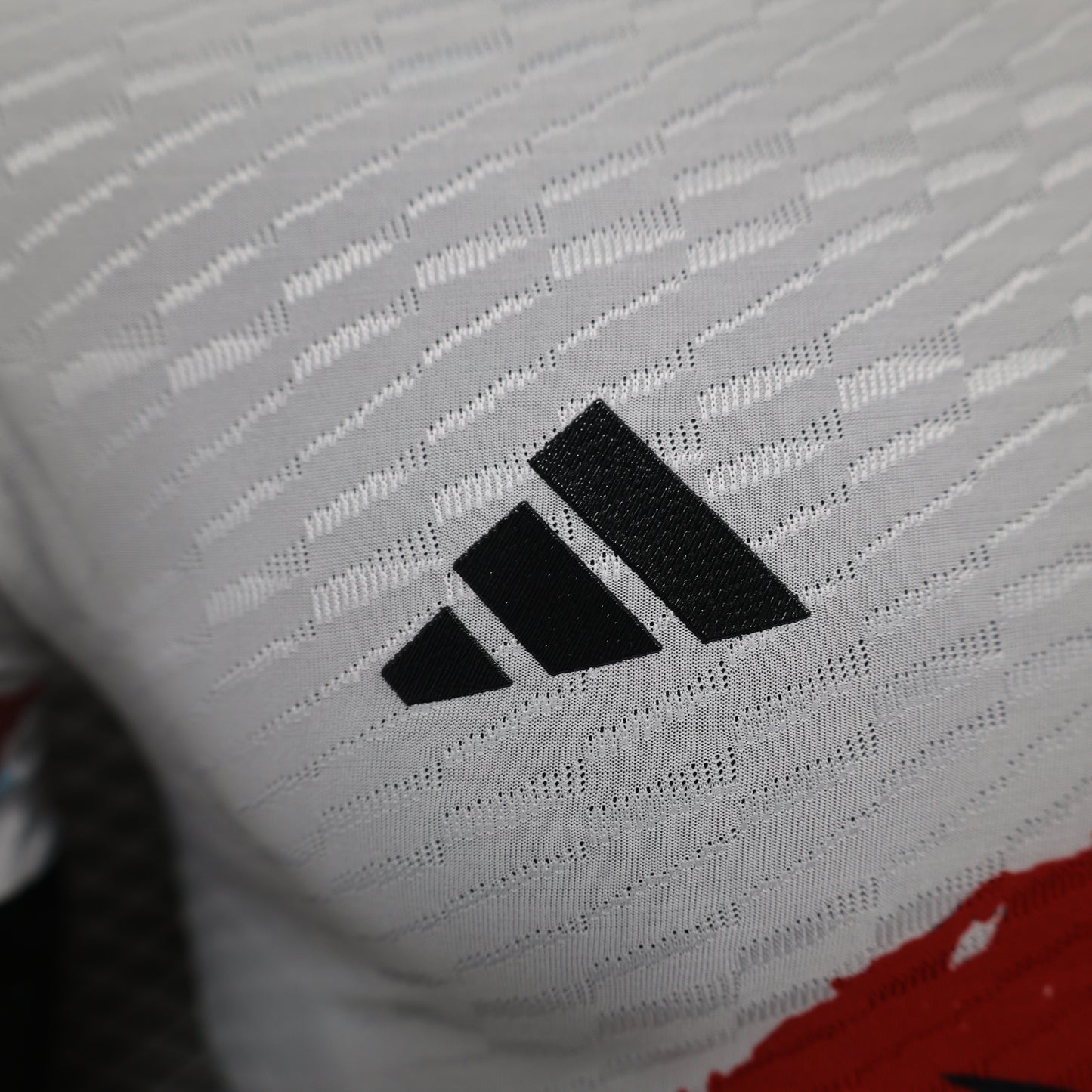 Japan 2024 Jersey