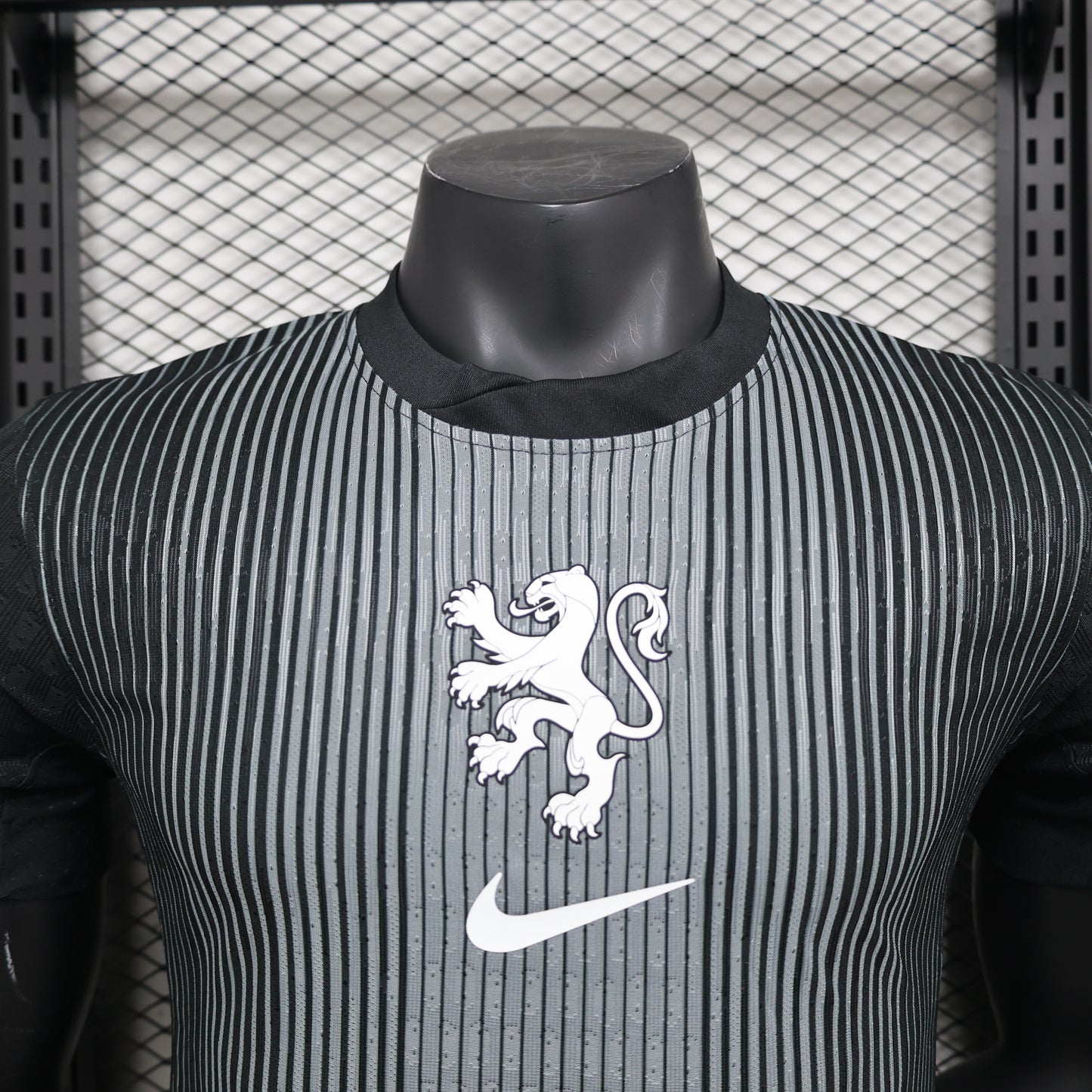 Netherlands 2025 Jersey