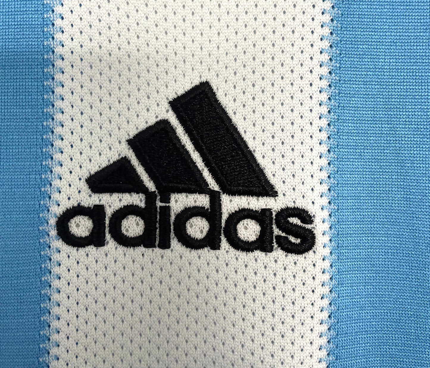 Argentina 2010 Home Jersey