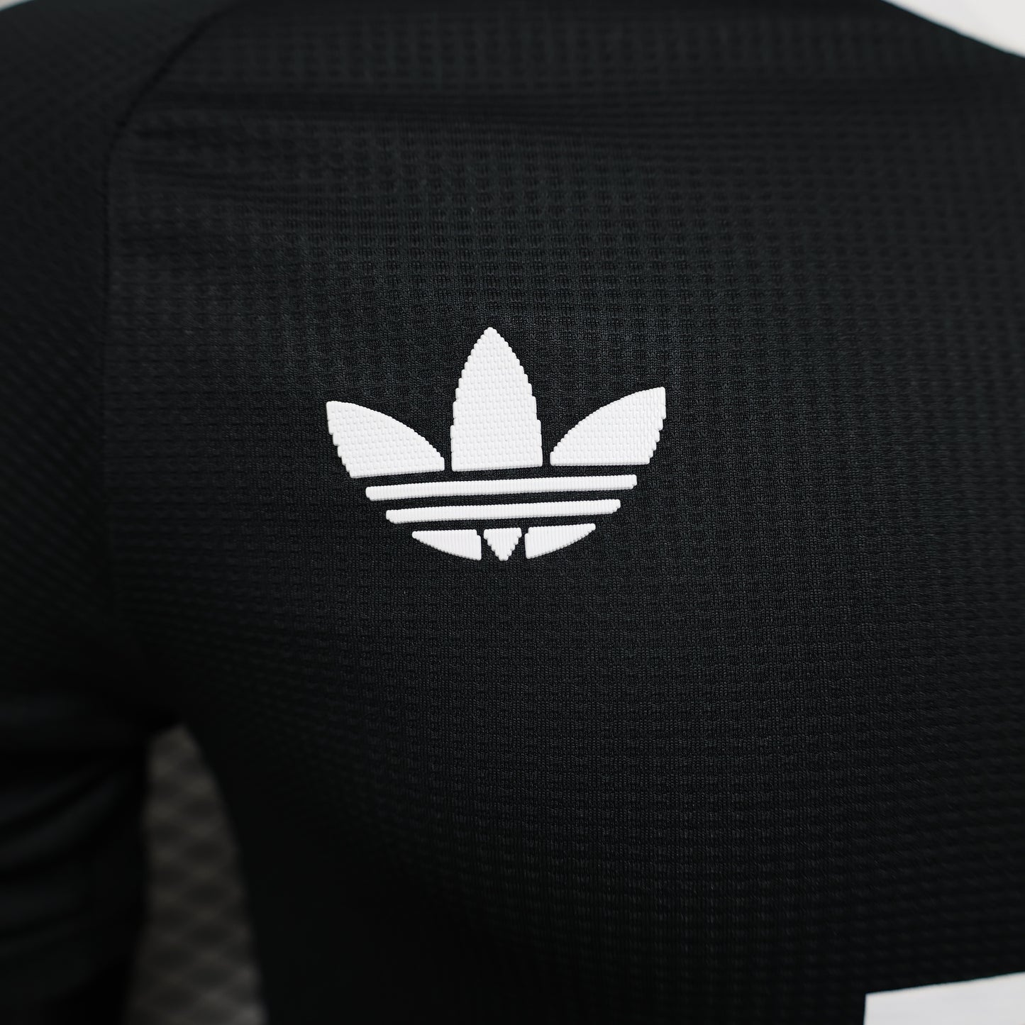 Bayern 2024/2025 Jersey