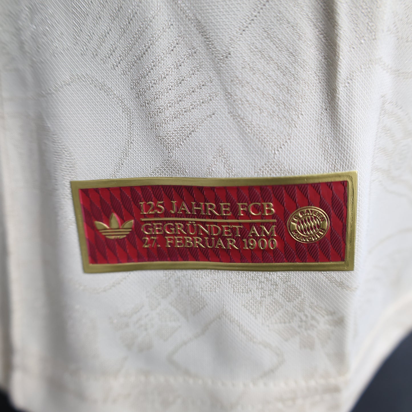 Bayern 2024/2025 Jersey