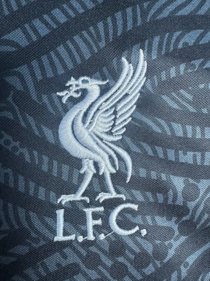 Liverpool 2020/2021 Jersey
