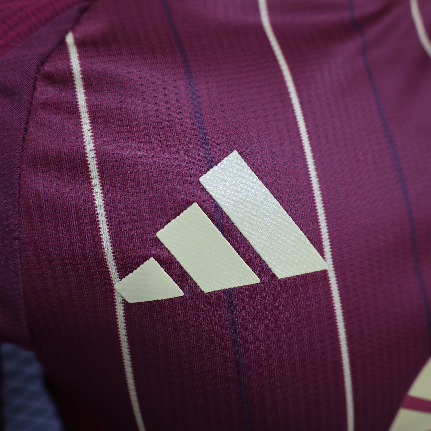 AS Roma 2024/2025 Home Jersey
