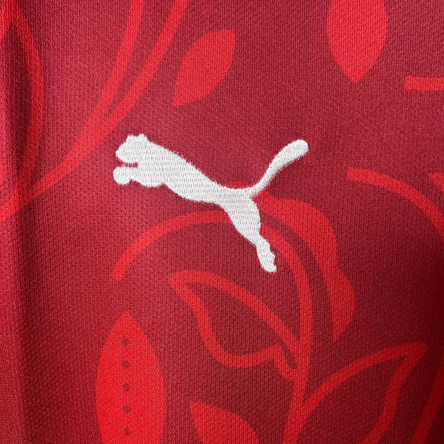Portugal 2025 Jersey