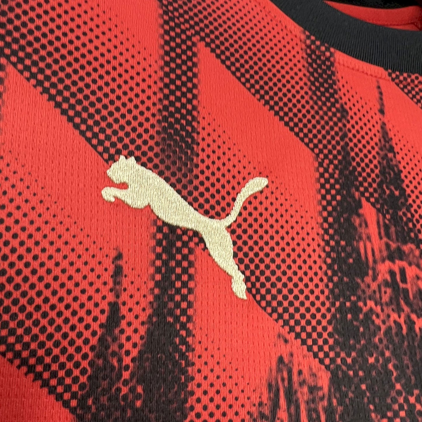 AC Milan 2024/2025 Jersey