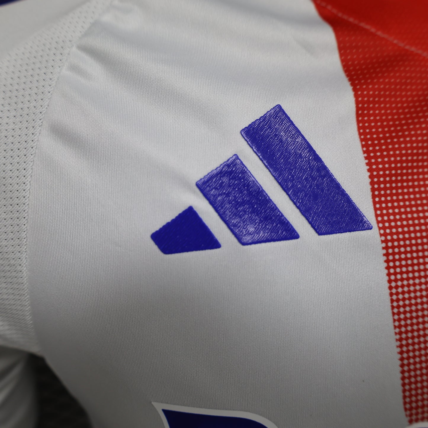 Lyon 2024/2025 Home Jersey