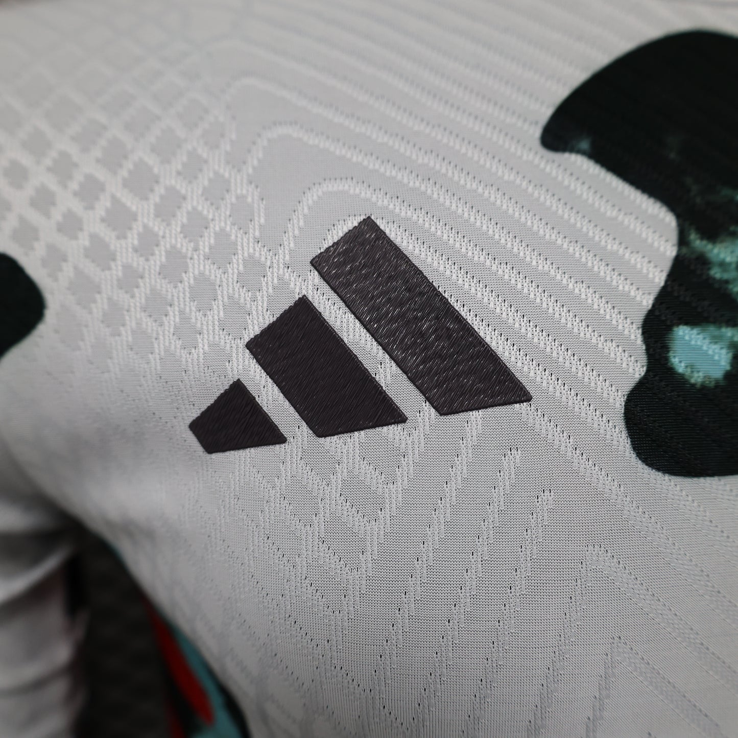 Bayern 2024/2025 Jersey