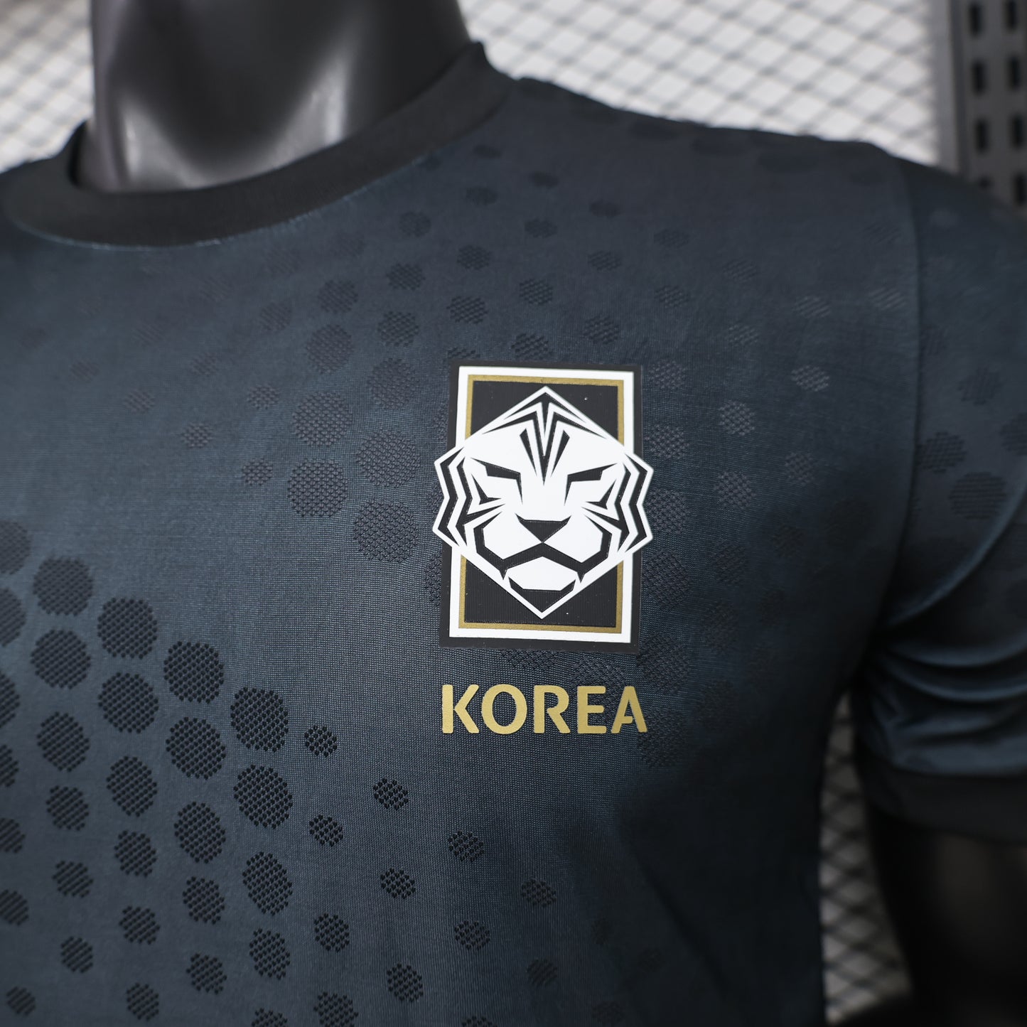 South Korea 2026 Jersey