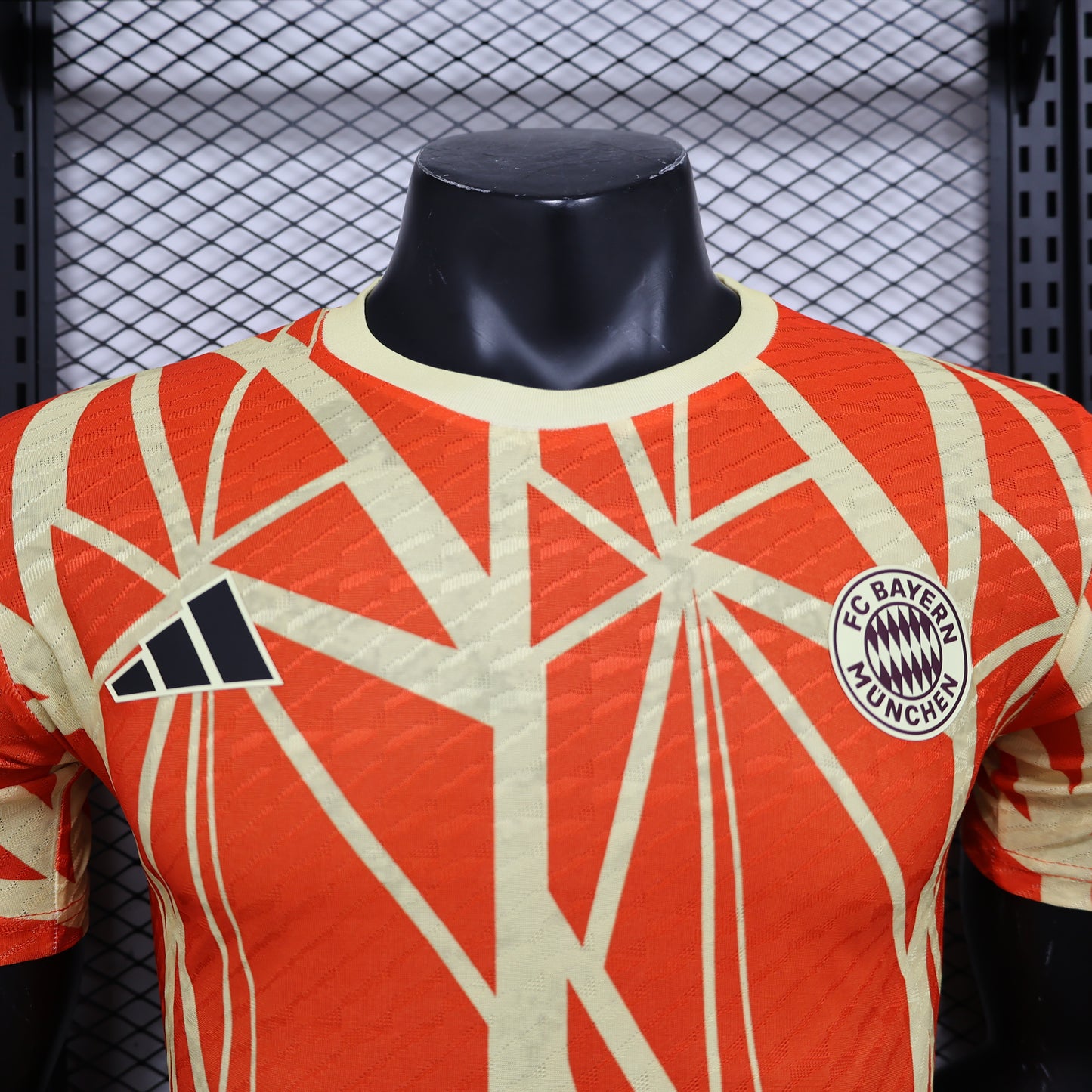 Bayern 2024/2025 Jersey
