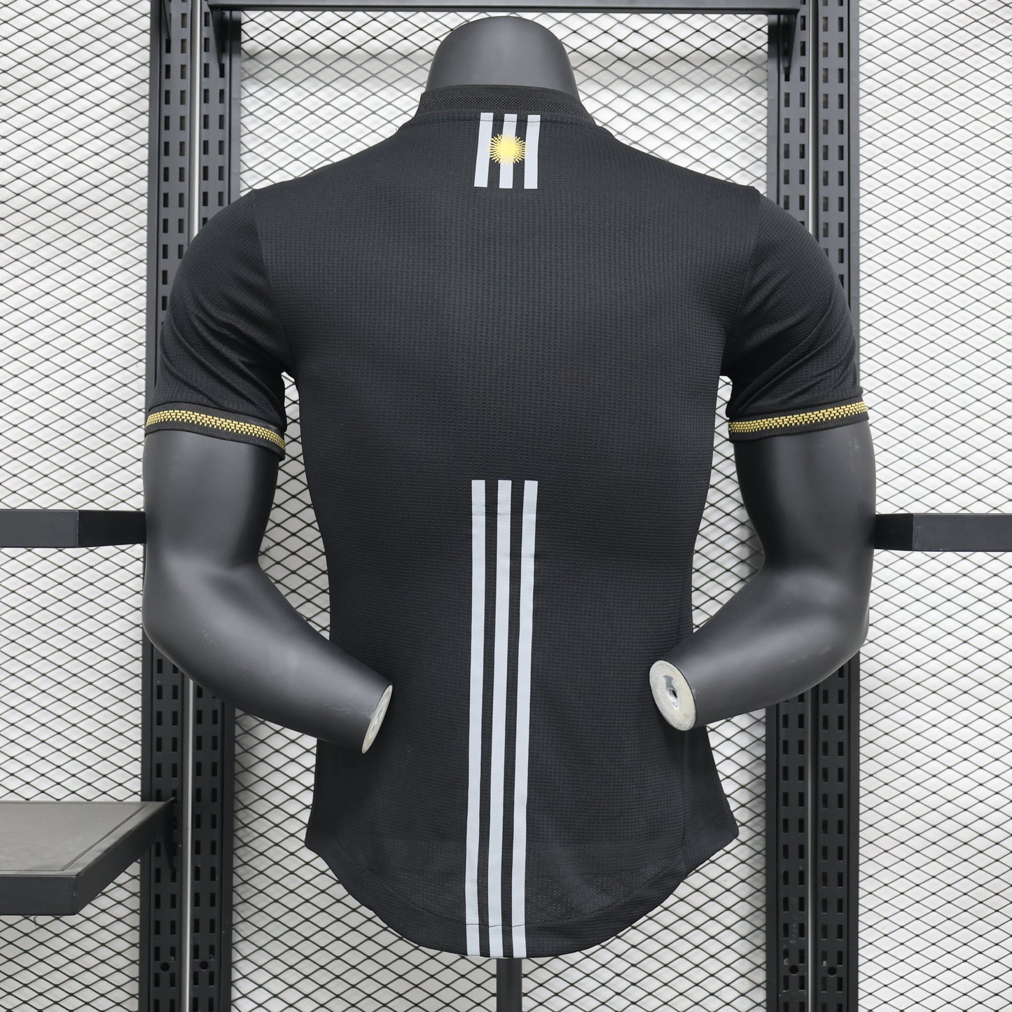 Argentina 2024 Jersey