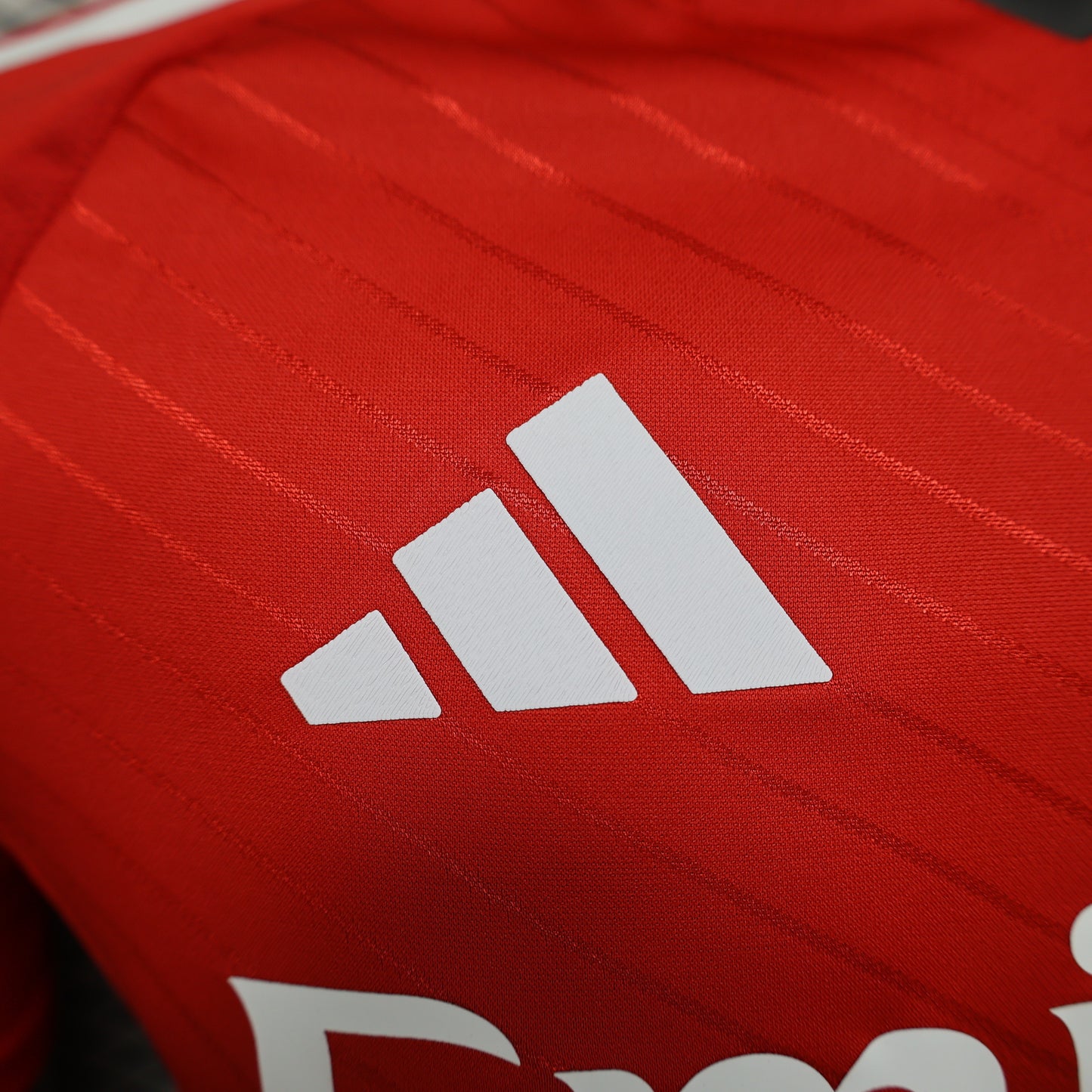 Benfica 2025/2026 Jersey