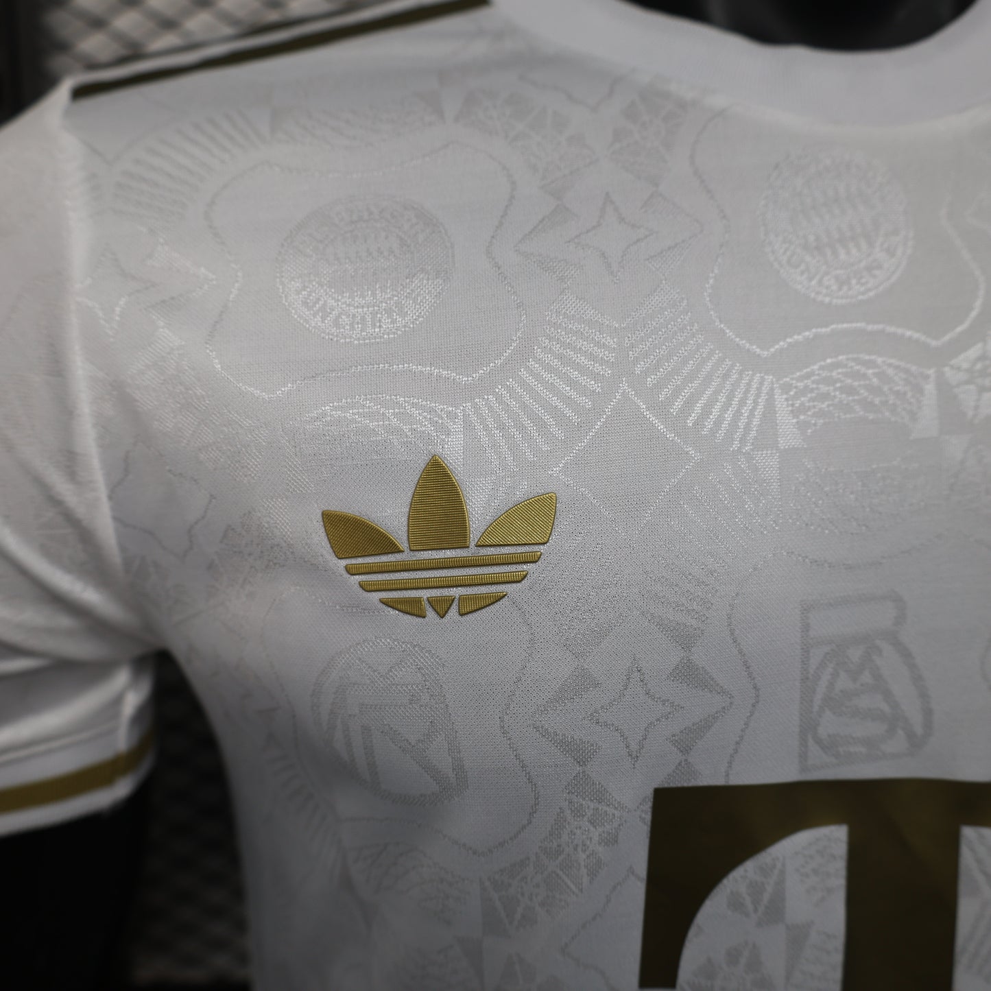 Bayern 2024/2025 Jersey