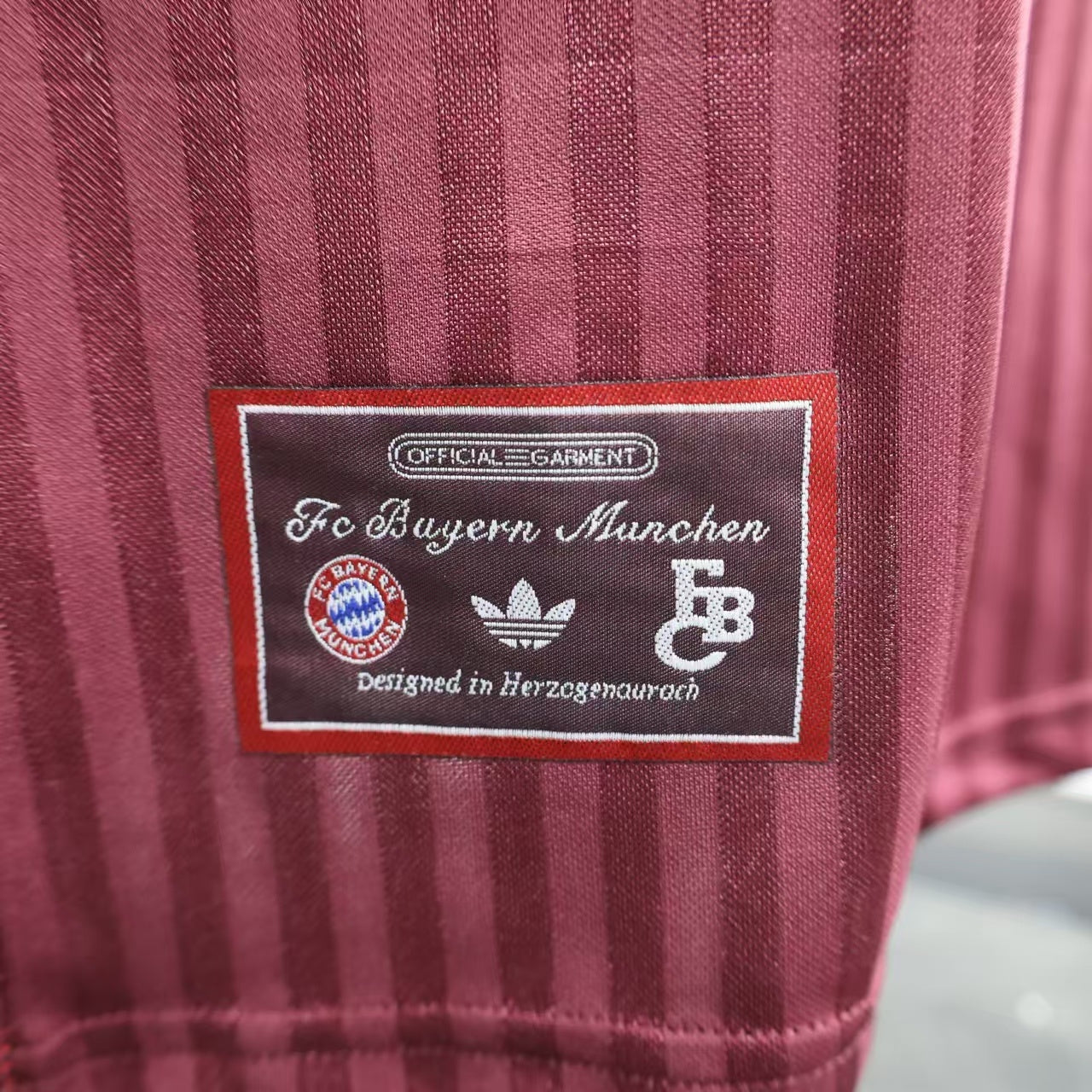 Bayern 2024/2025 Jersey