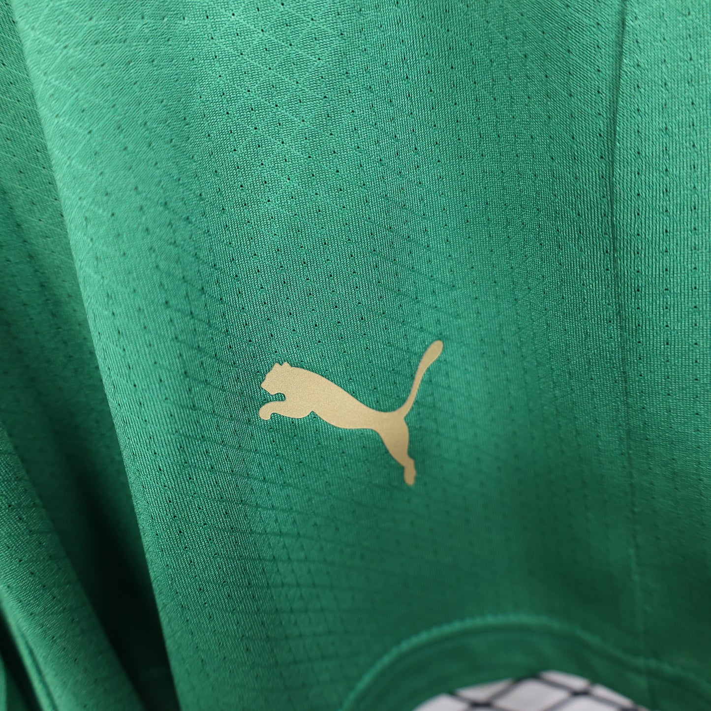 Morocco 2026 Shorts
