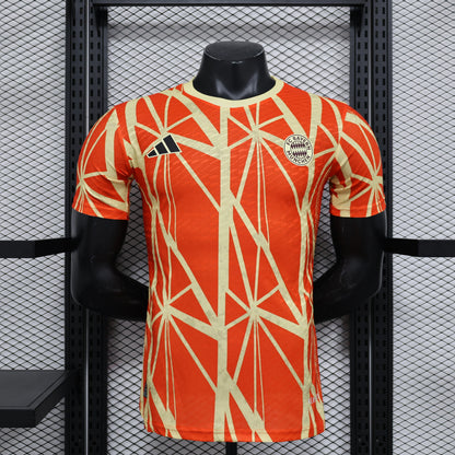 Bayern 2024/2025 Jersey