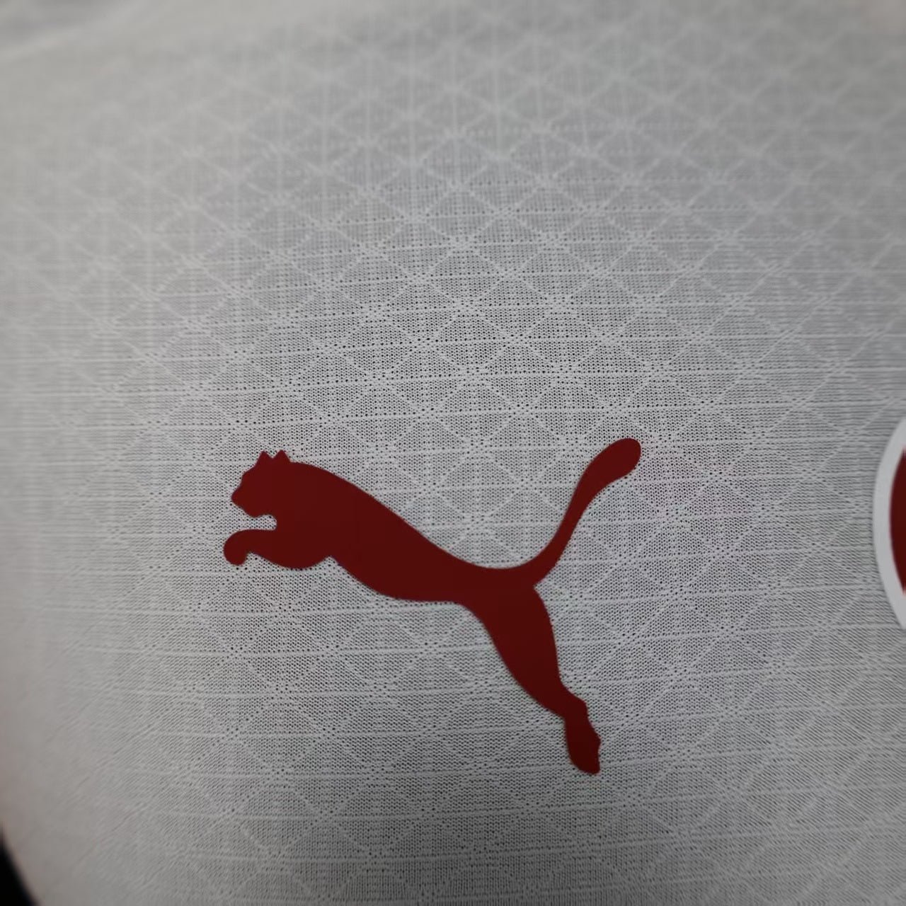 Galatasaray 2025/2026 Away Jersey
