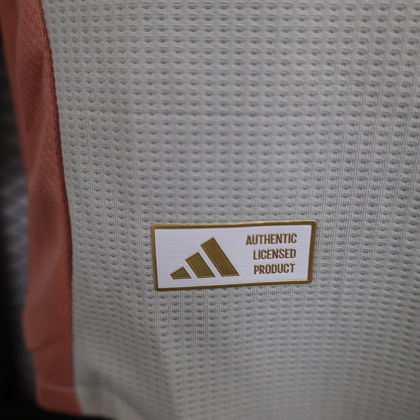 Lyon 2024/2025 Third Jersey