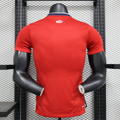 Lille 2024/2025 Home Jersey