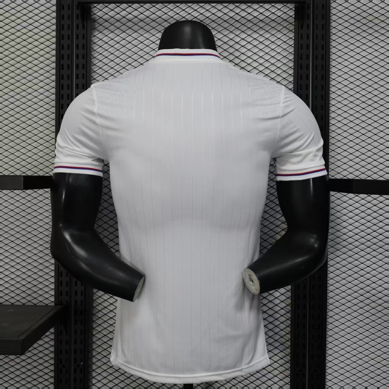 Lyon 2024/2025 Jersey