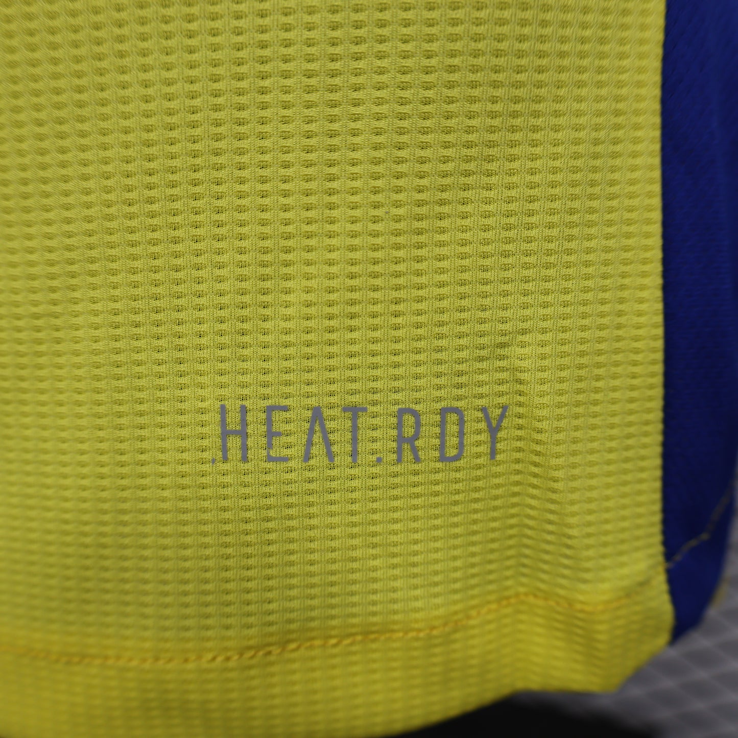 Al Nassr 2024/2025 Home Jersey