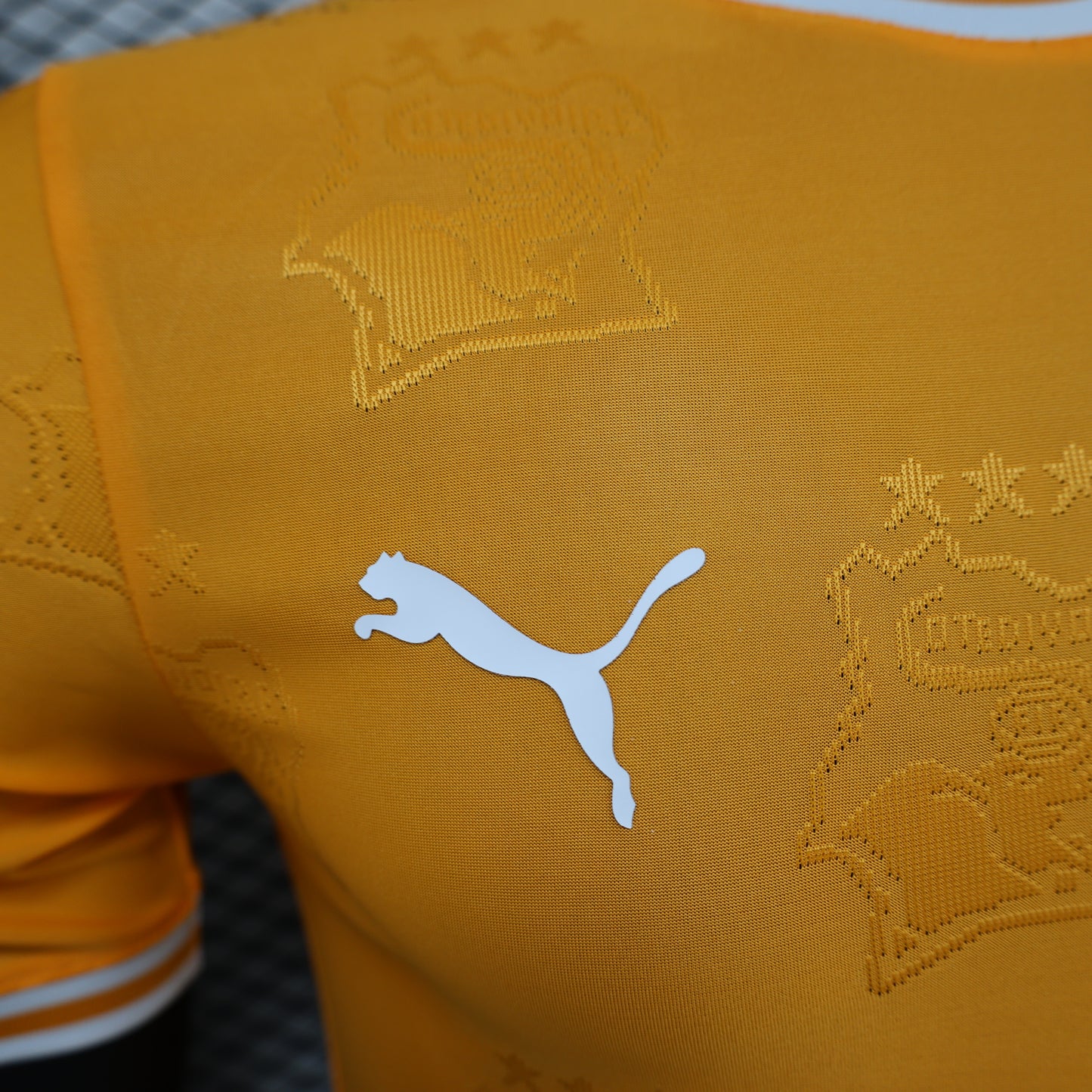 Ivory Coast 2026 Jersey