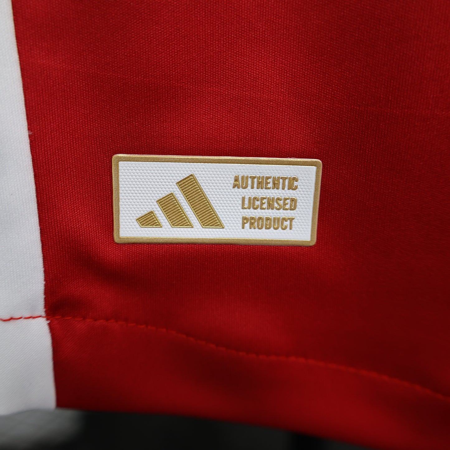 Ajax 2024/2025 Home Jersey