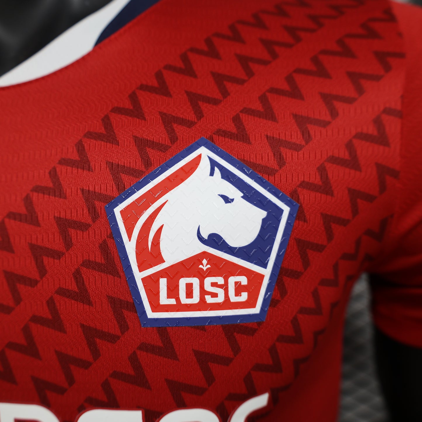 Lille 2024/2025 Home Jersey