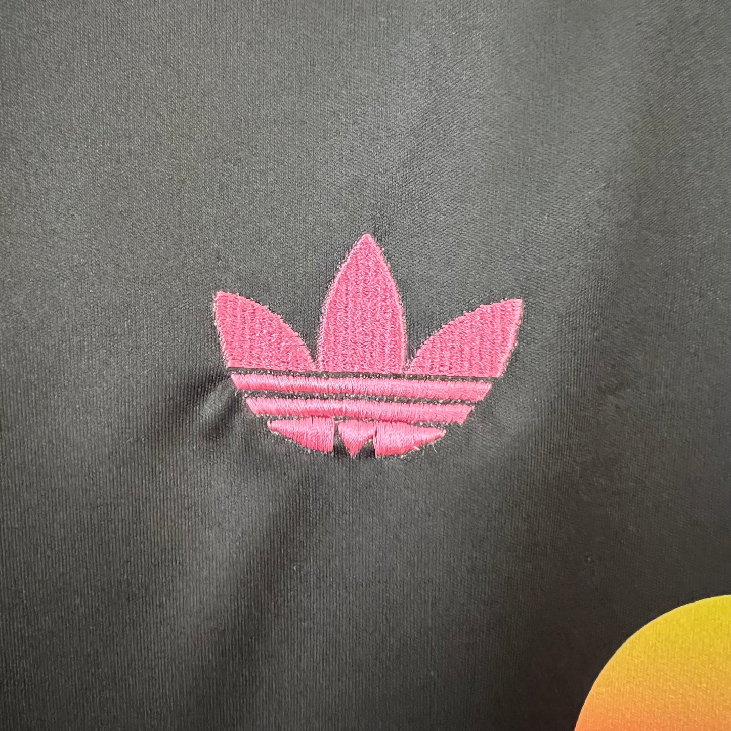 Japan 2024 Jersey