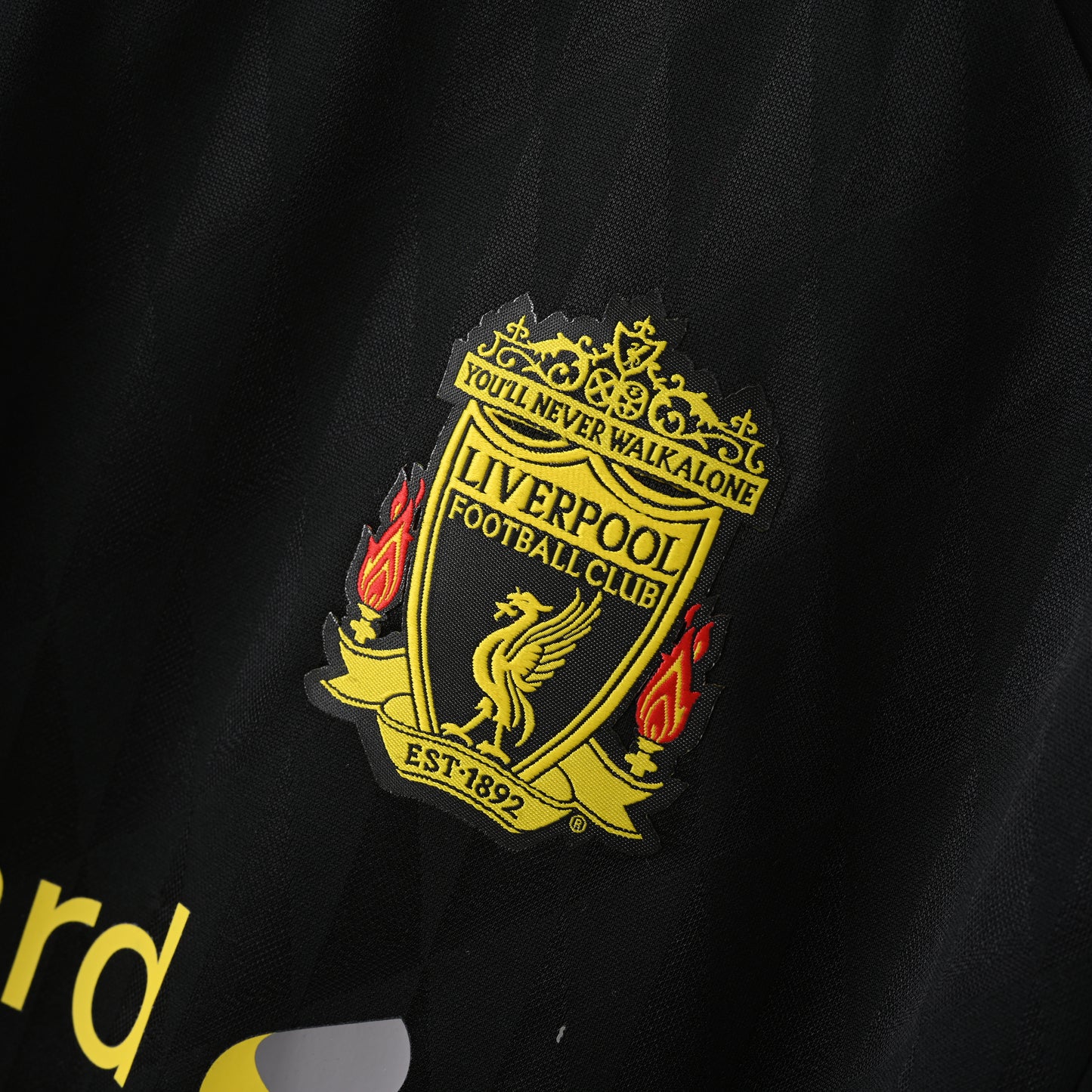 Liverpool 2010/2011 Third Jersey