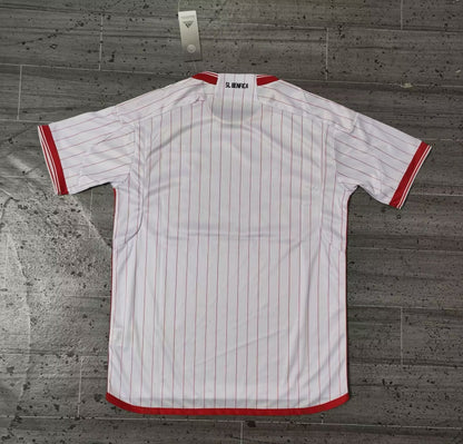 Benfica 2023/2024 Jersey