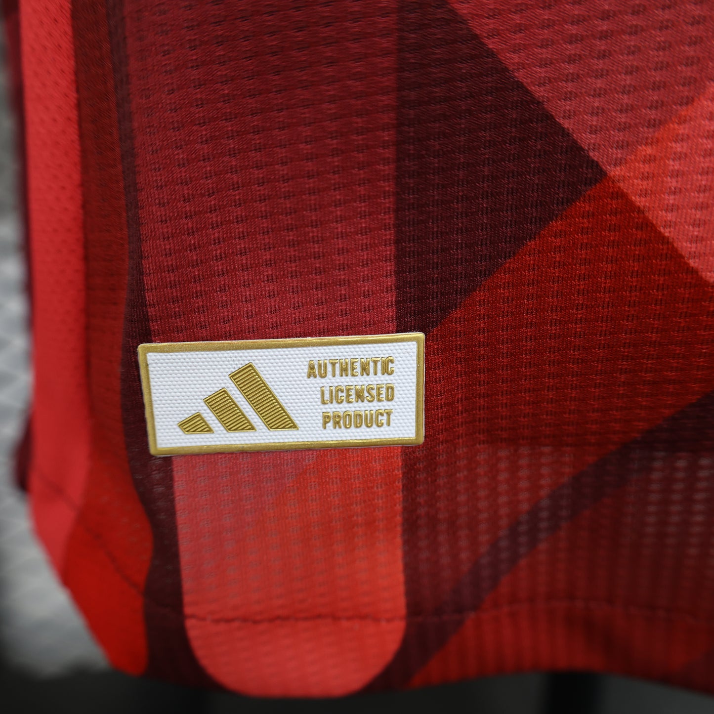 Germany 2025 Jersey