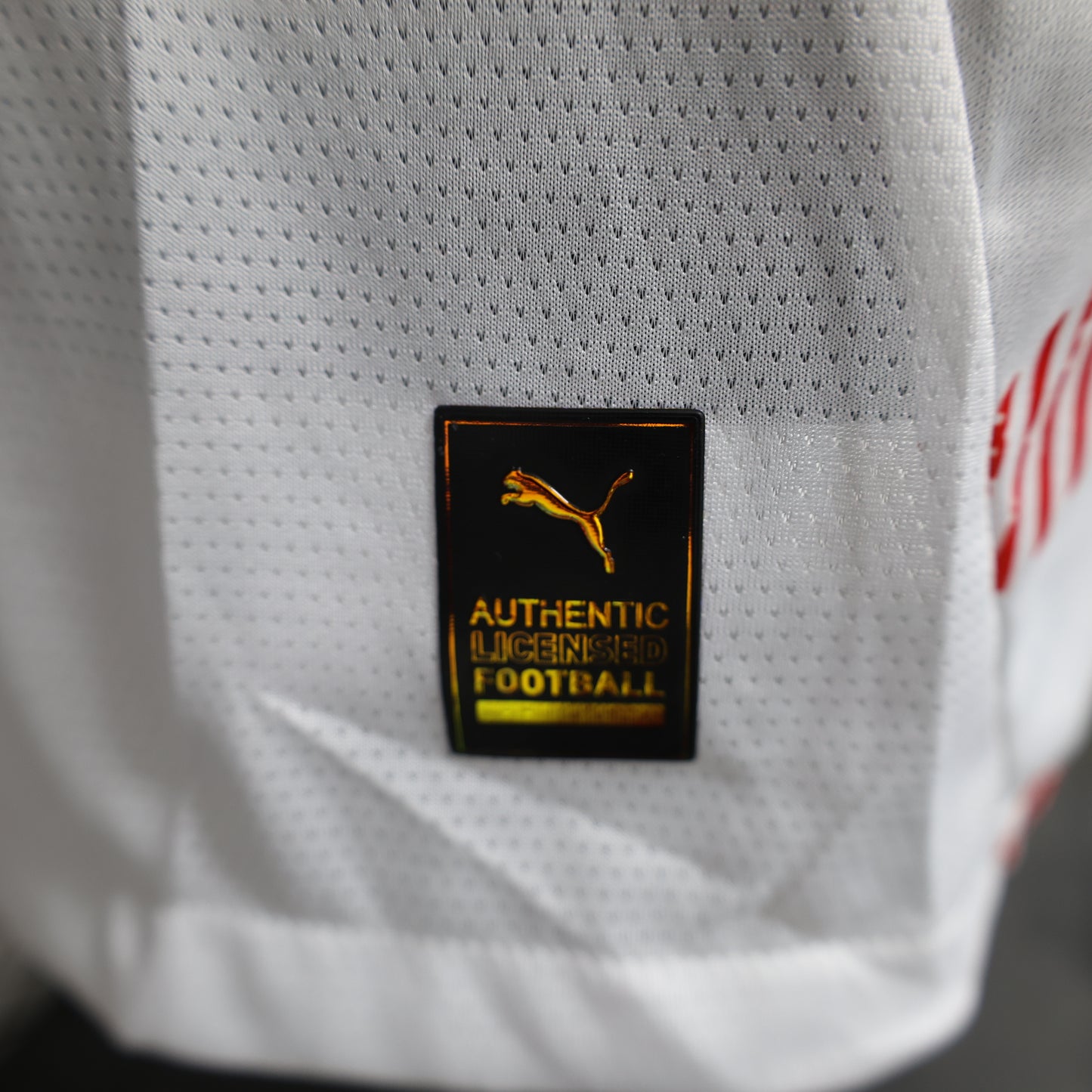 Leipzig 2024/2025 Home Jersey