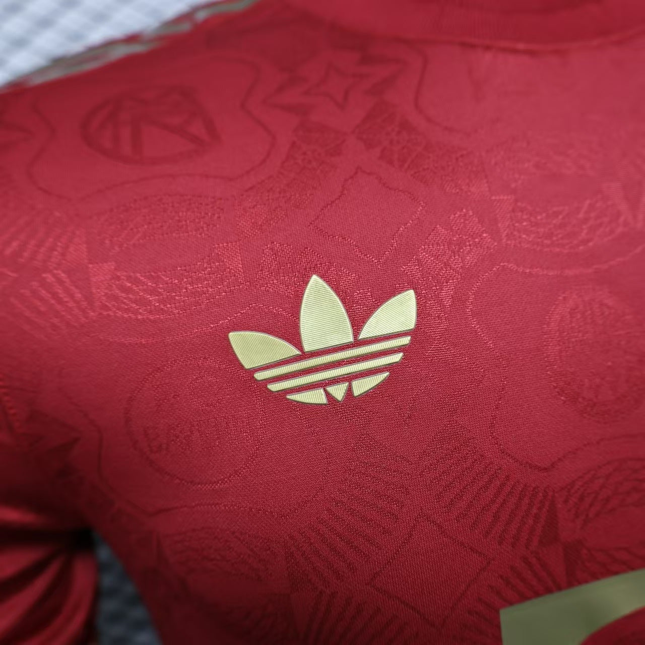 Bayern 2024/2025 Jersey