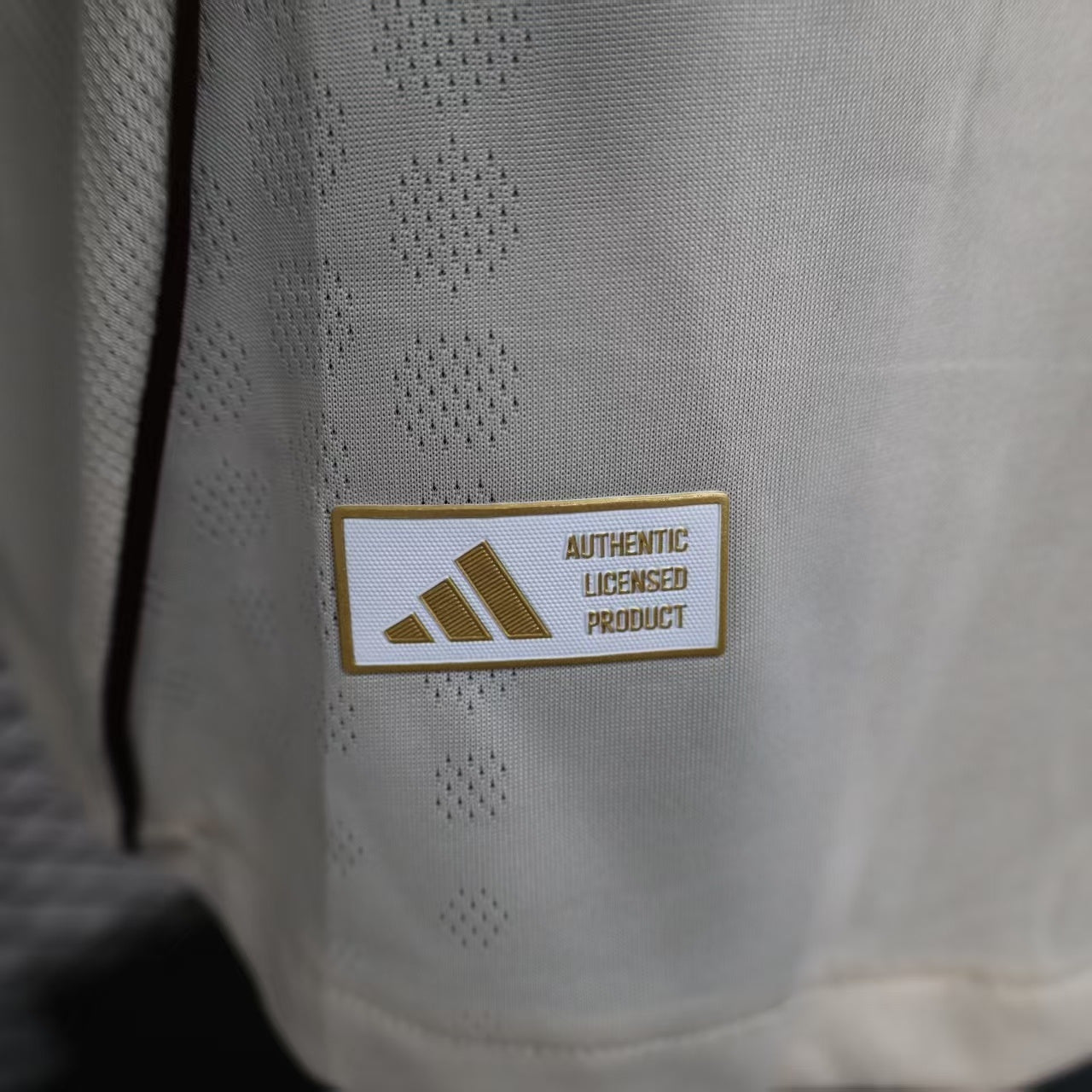 Ajax 2025/2026 Third Jersey