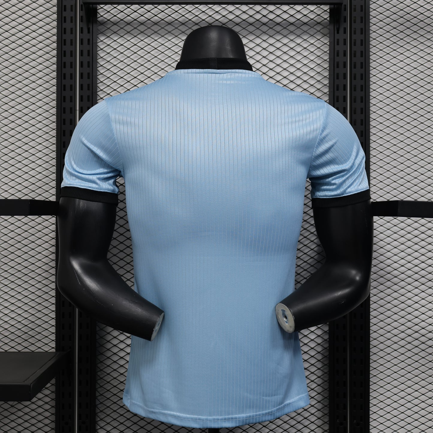 Germany 2025 Jersey