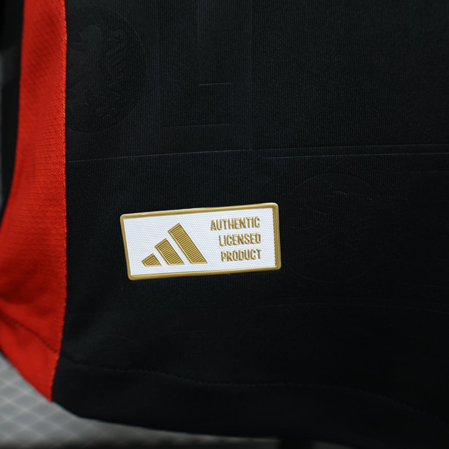 Lyon 2024/2025 Away Jersey