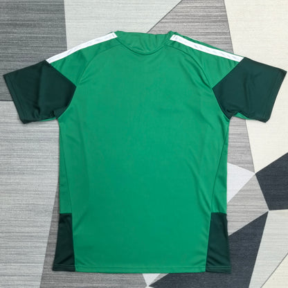Algeria 2026 Jersey