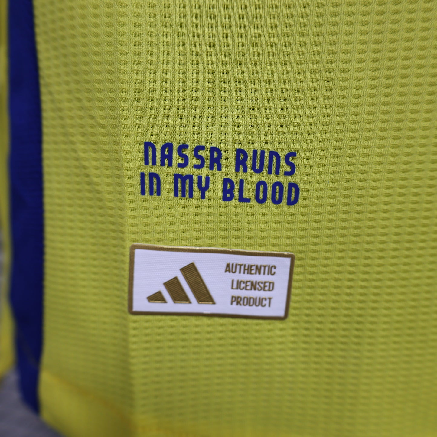 Al Nassr 2024/2025 Home Jersey