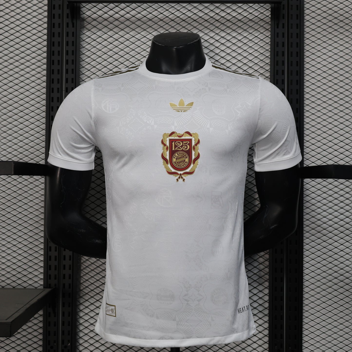 Bayern 2024/2025 Jersey