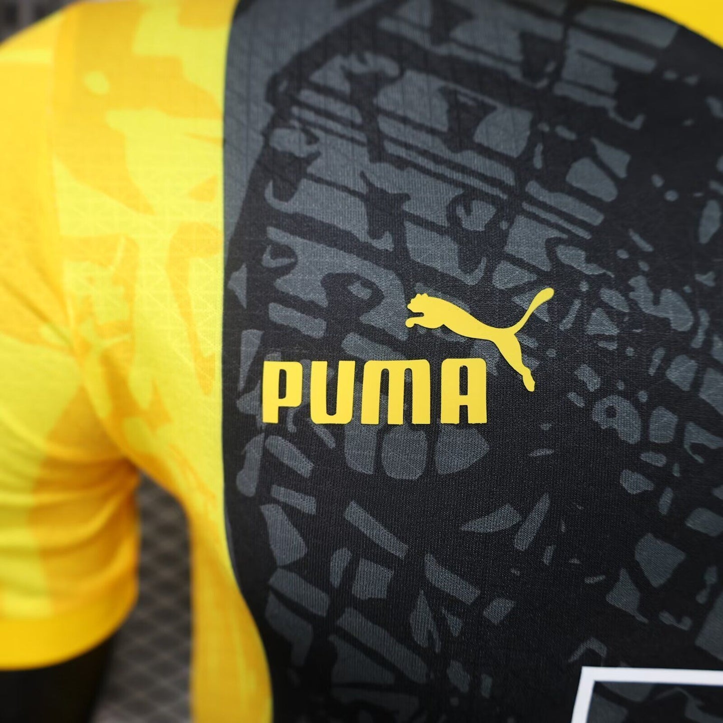 Dortmund 2024/2025 Jersey