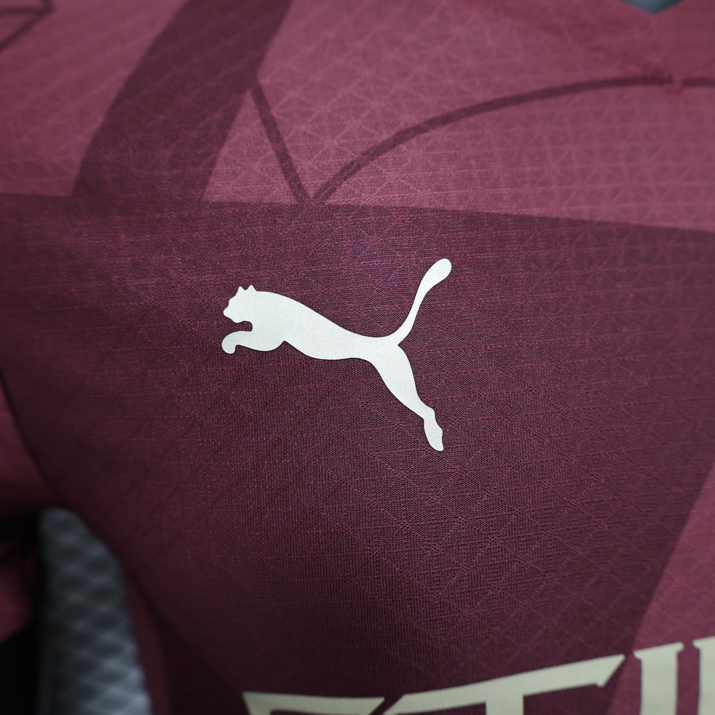 Manchester City 2024/2025 Jersey