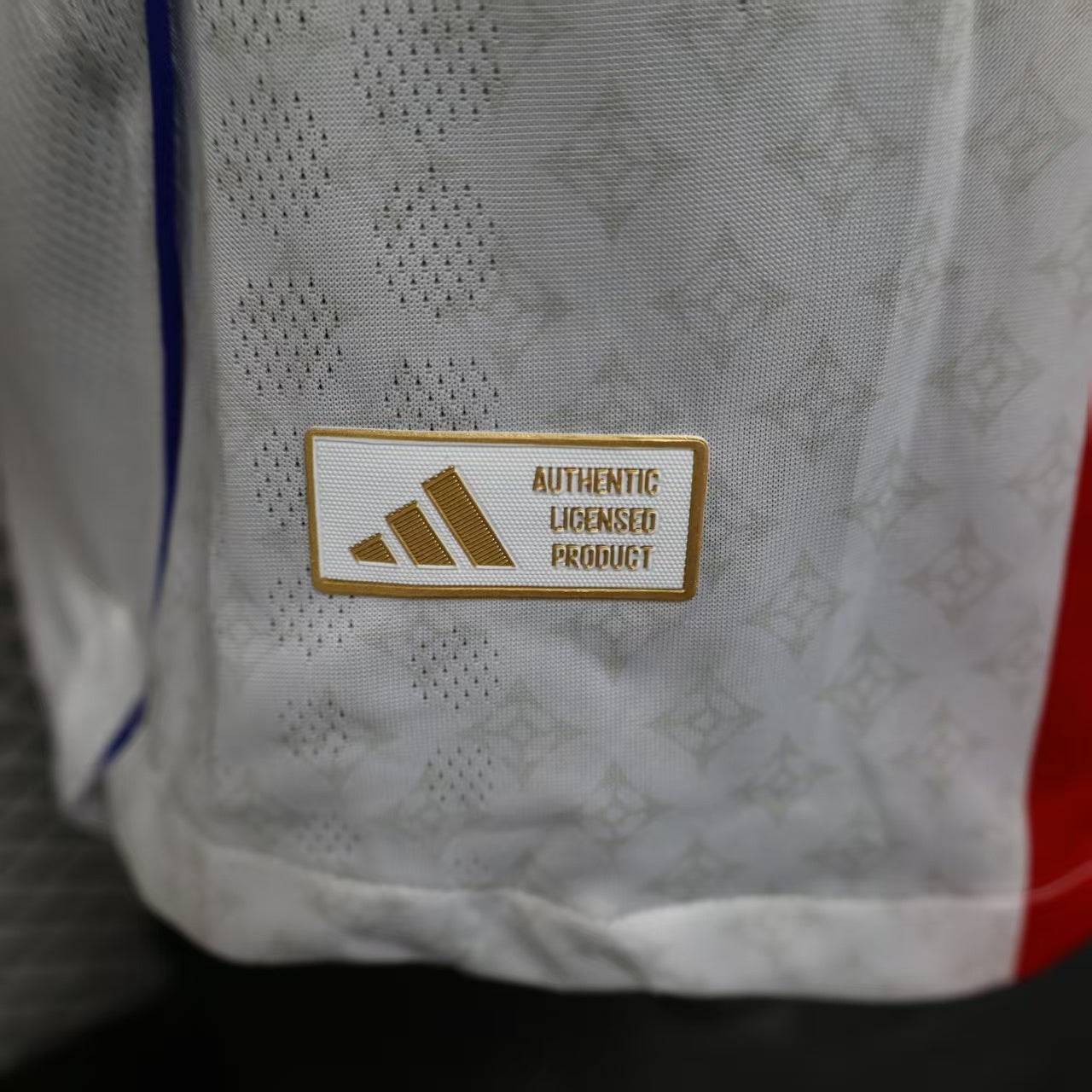 Lyon 2025/2026 Home Jersey