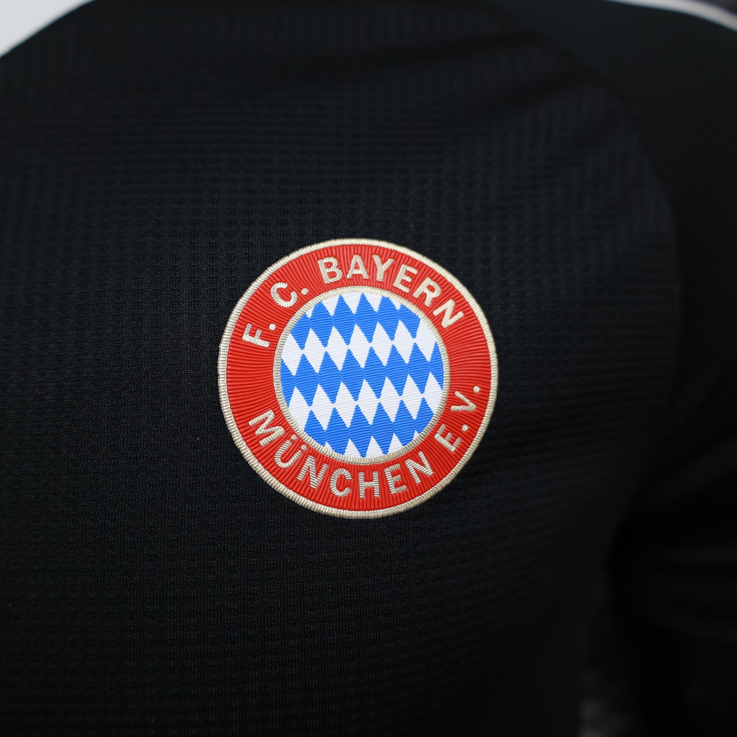 Bayern 2024/2025 Jersey