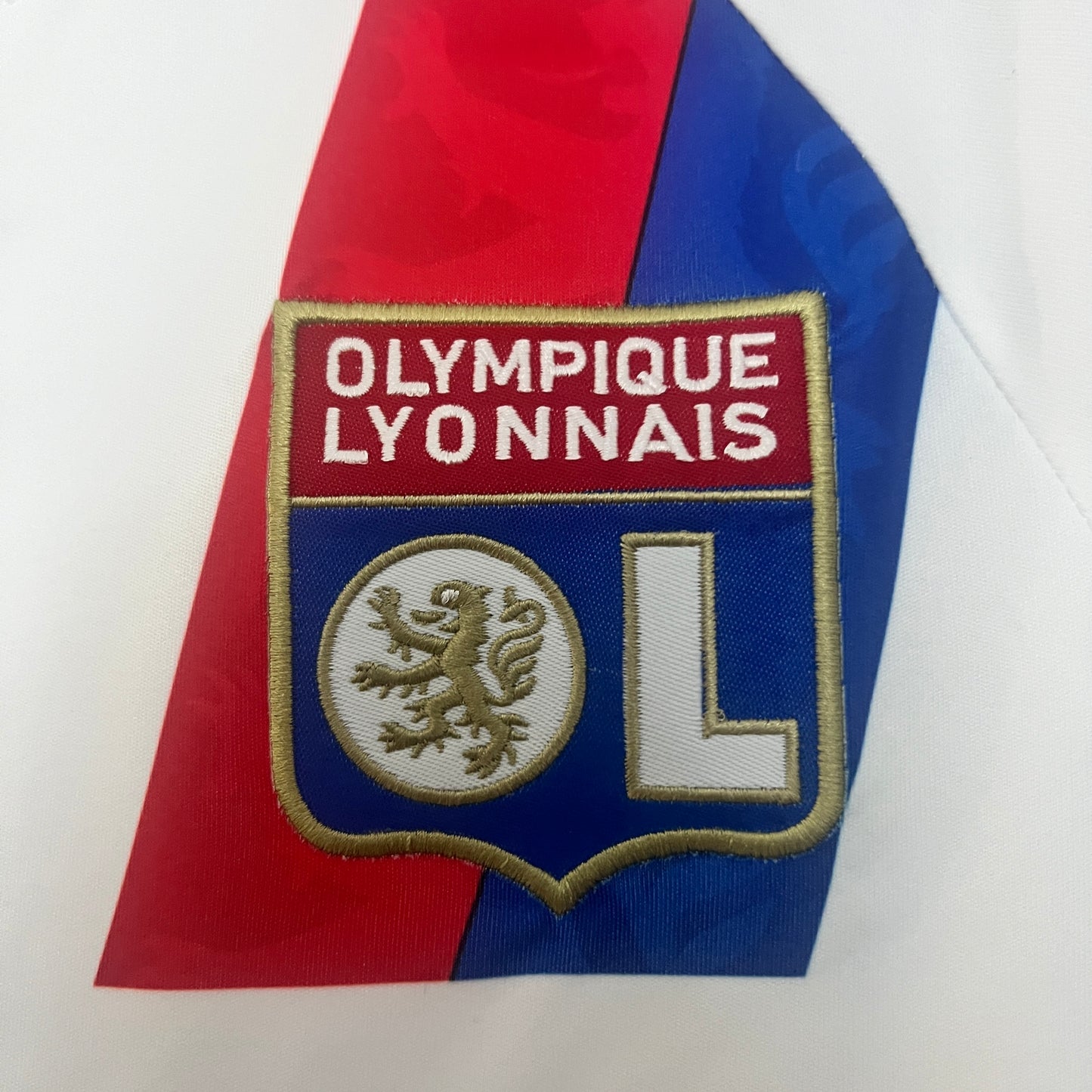 Lyon 2010/2011 Home Jersey