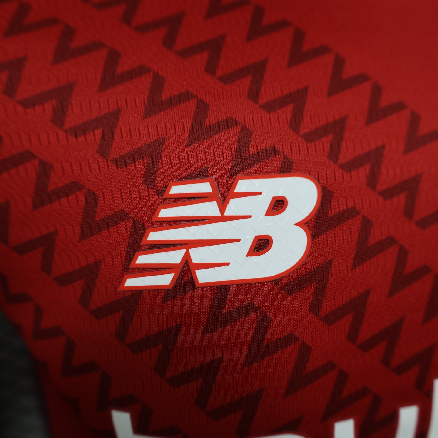 Lille 2024/2025 Home Jersey
